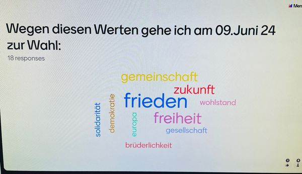 EU-Wahl Themen